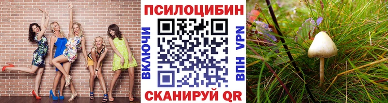 Псилоцибиновые грибы GOLDEN TEACHER  ссылка на мегу зеркало  Городище 